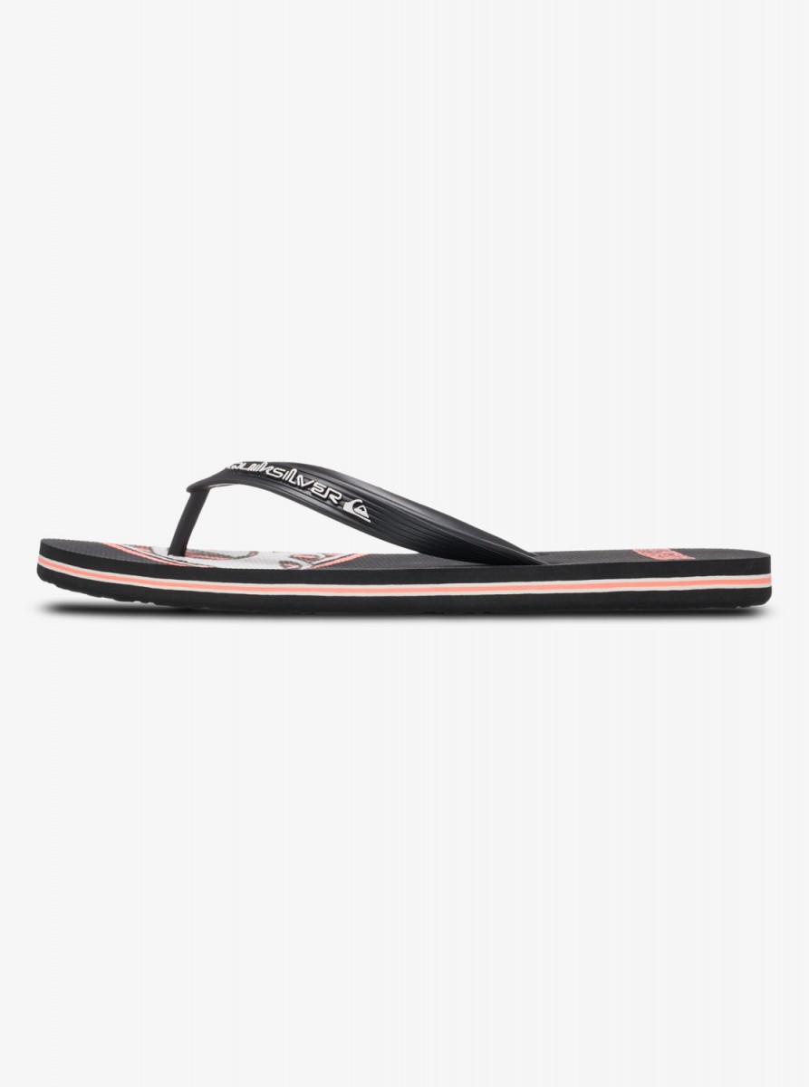 фото Мужские сланцы molokai screen quiksilver