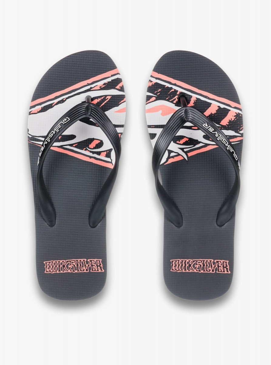 фото Мужские сланцы molokai screen quiksilver