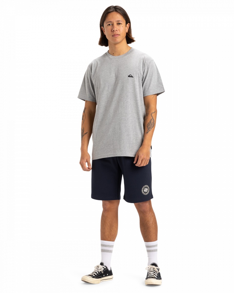 фото Футболка basic ss tee young men quiksilver