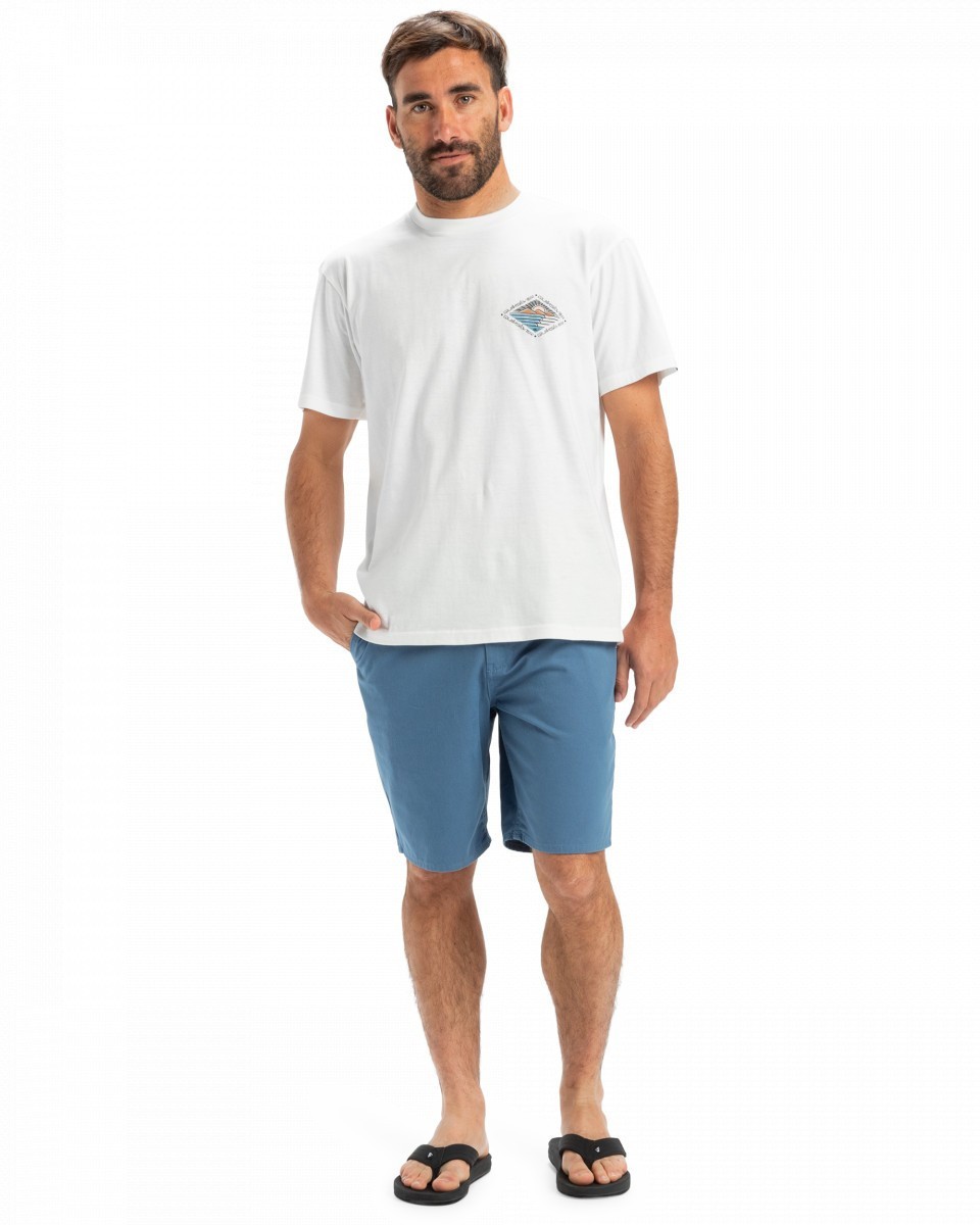фото Мужские шорты everyday 20" quiksilver