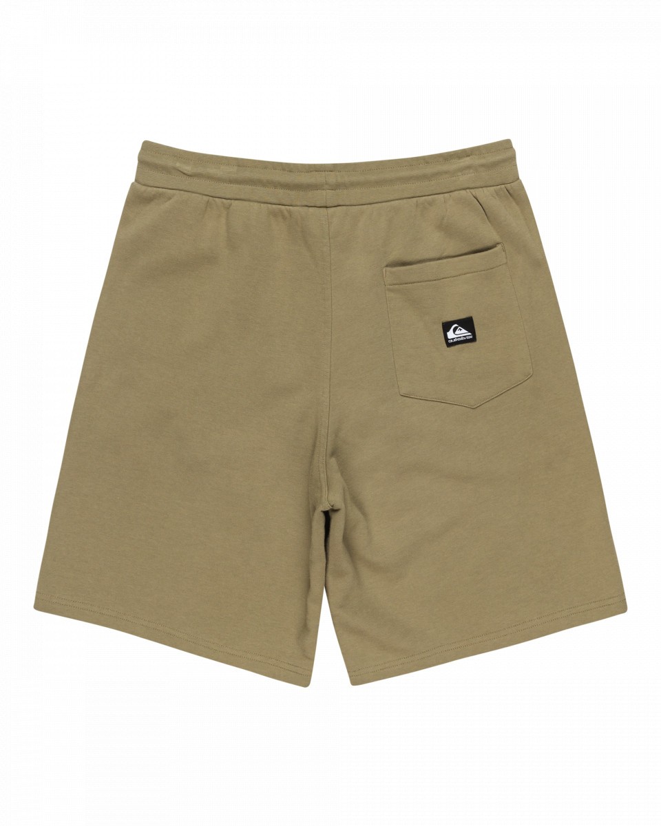 фото Мужские шорты salt water quiksilver