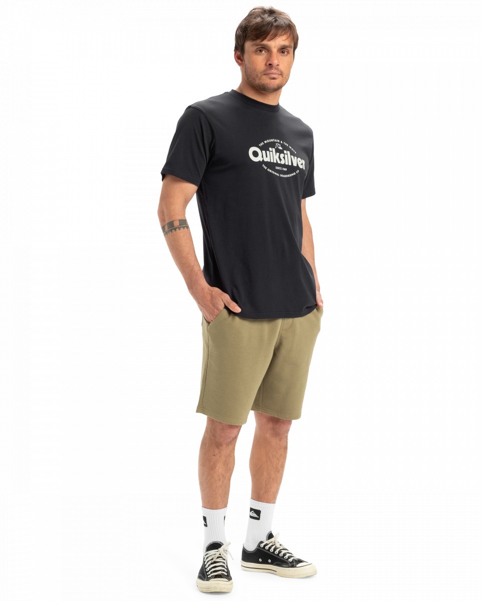 фото Мужские шорты salt water quiksilver