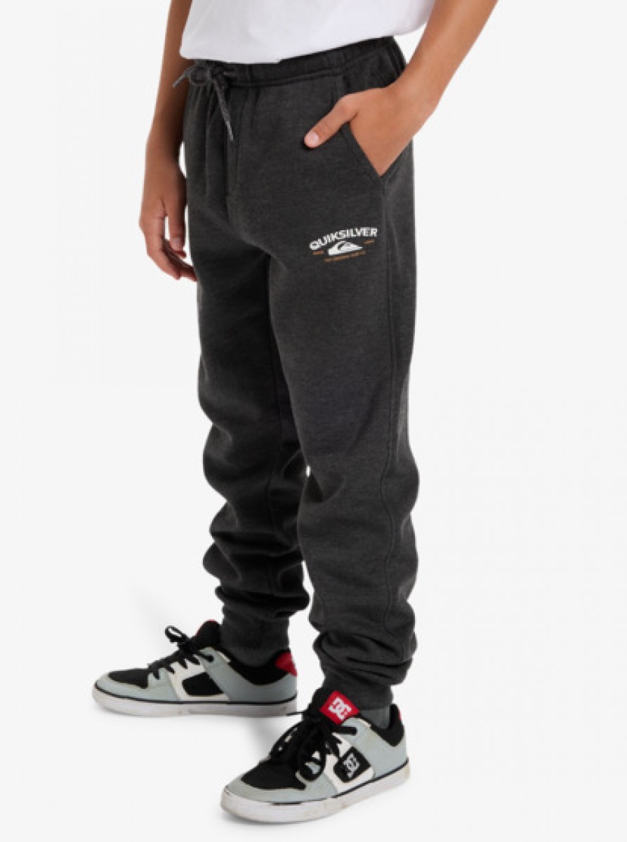 фото Детские спортивные штаны slim jogger youth quiksilver