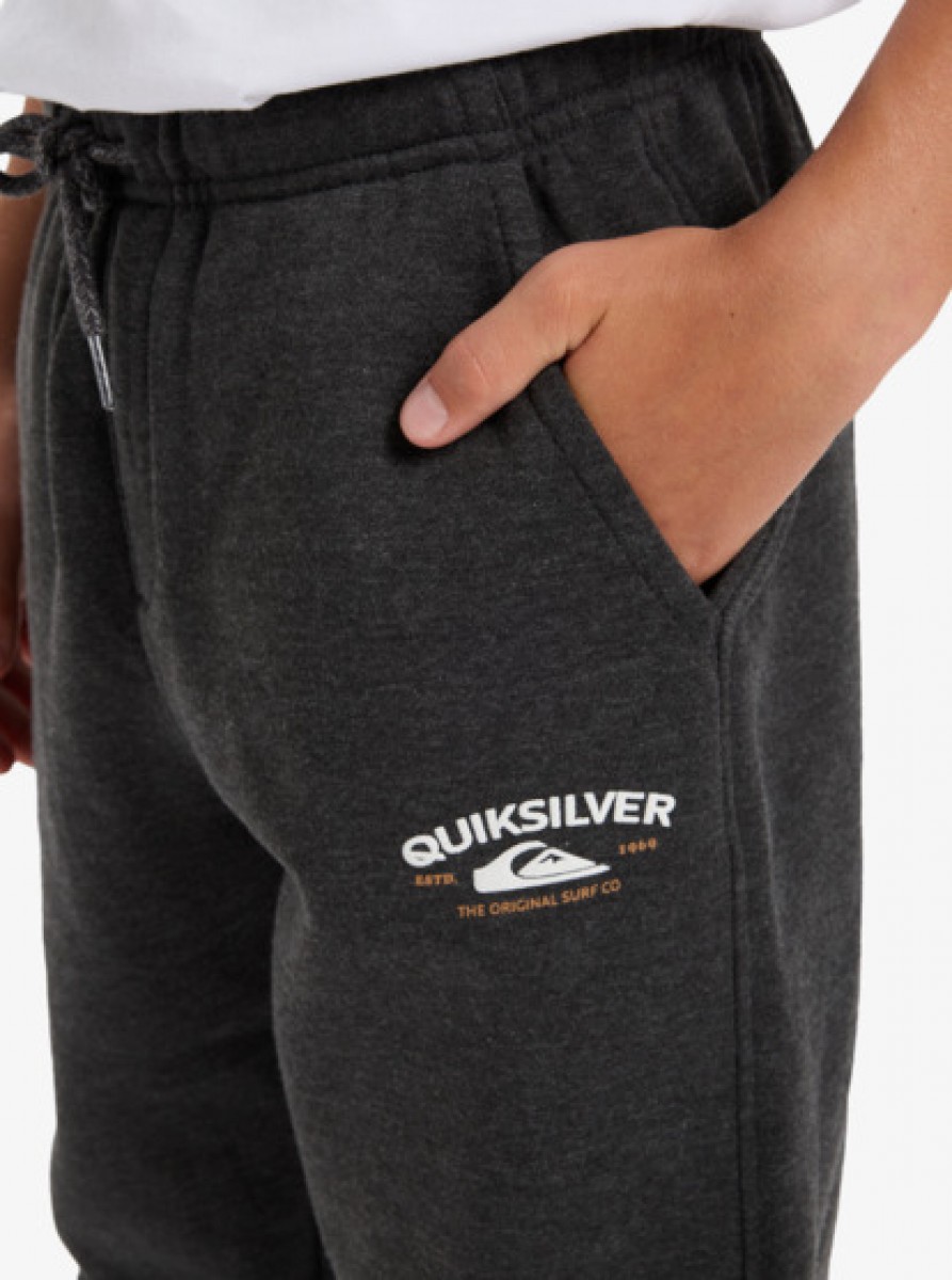 фото Детские спортивные штаны slim jogger youth quiksilver