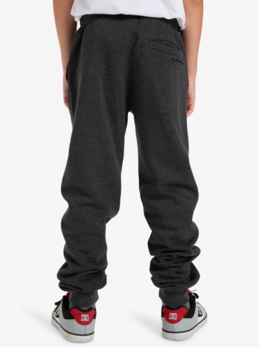 фото Детские спортивные штаны slim jogger youth quiksilver