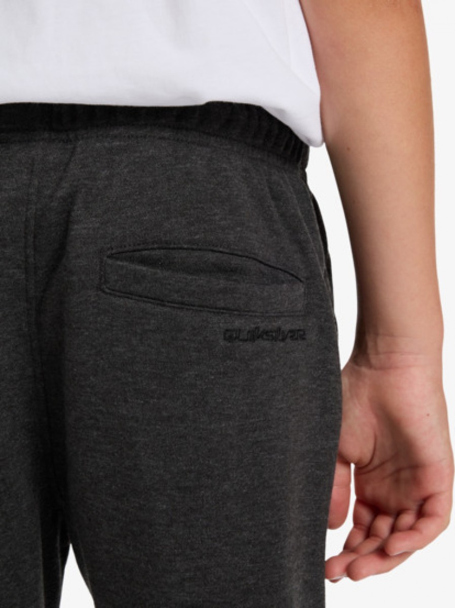 фото Детские спортивные штаны slim jogger youth quiksilver