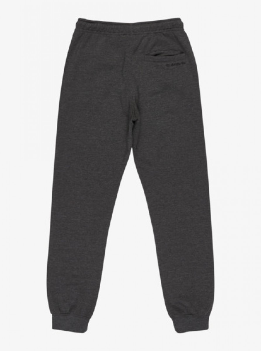 фото Детские спортивные штаны slim jogger youth quiksilver