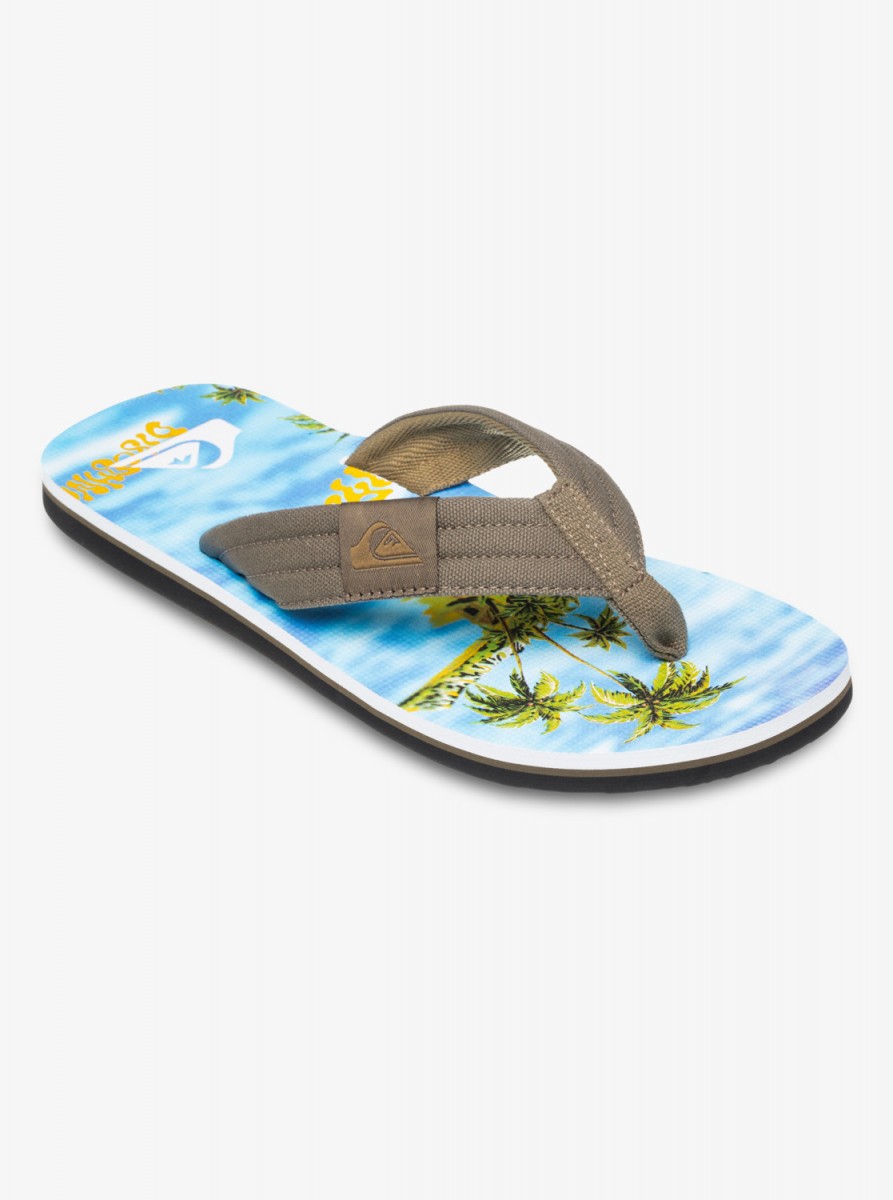 Мужские сланцы Molokai Layback Ii 1299₽