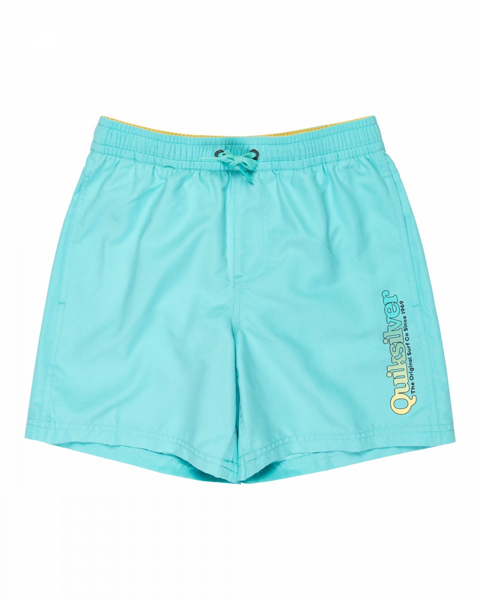 Детские пляжные шорты SPL Fineline Volley YTH 14 3699₽