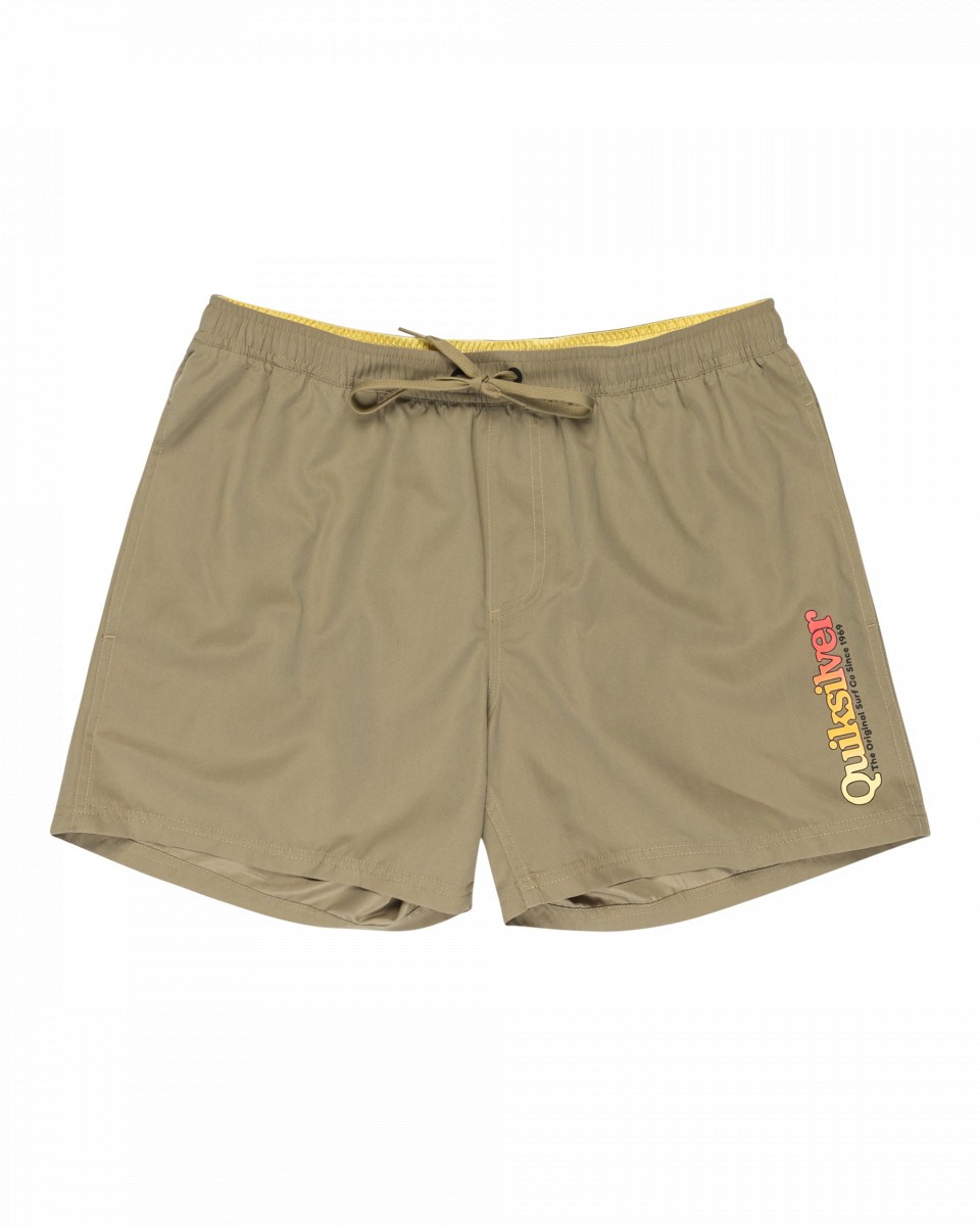 Мужские пляжные шорты Spl Fineline Volley 15 2699₽