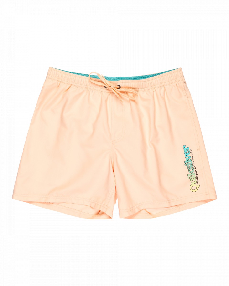 Мужские пляжные шорты Spl Fineline Volley 15 2699₽