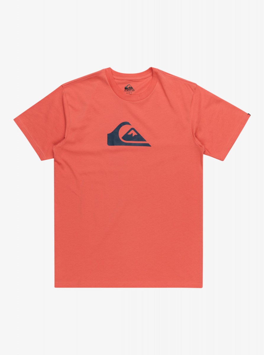 Мужская футболка Comp Logo 2399₽