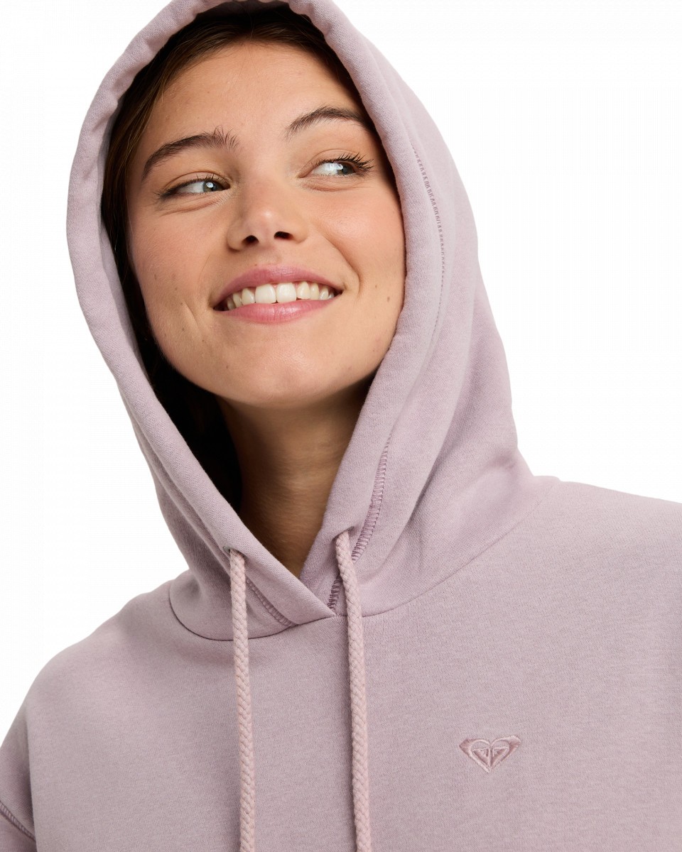 фото Худи surf stoked brushed roxy