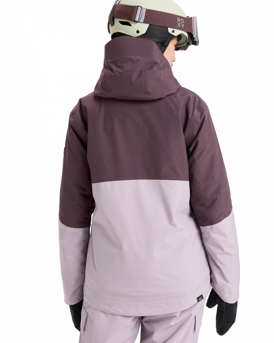 Сноубордическая куртка GORE-TEX STORMDAY JK 37999₽