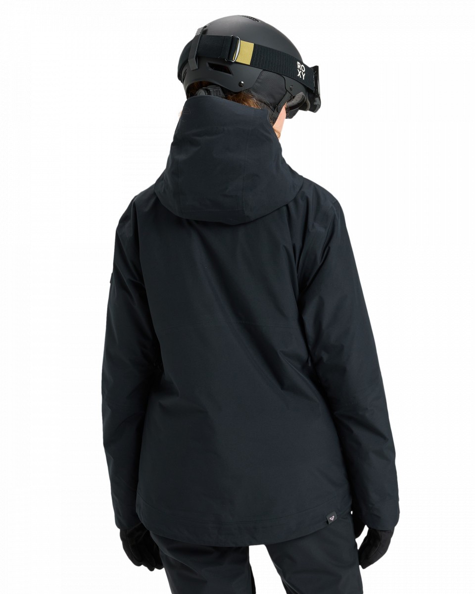 Сноубордическая куртка GORE-TEX STORMDAY JK 35999₽