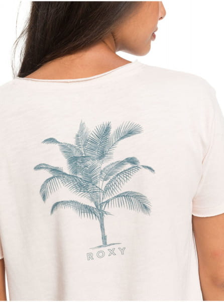 ������� �������� � �������� Star Solar