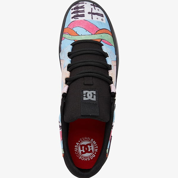 Купить мужские Скейтовые Кеды DC Hyde S Evan мультиколор от DC