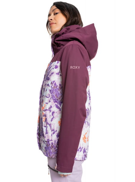 ��������������� ������ Roxy Jetty