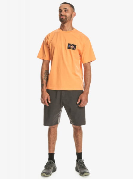 ������� �������� Back Flash