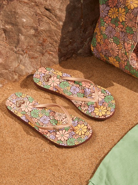 ������� �������� Bermuda