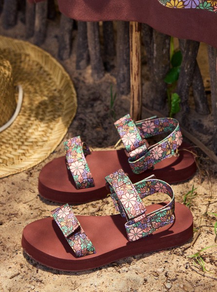 ������� �������� ROXY Cage