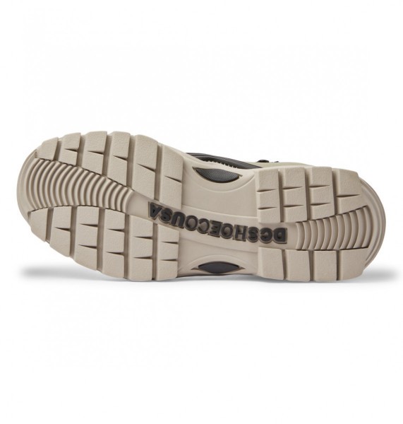 .//   /    Navigator