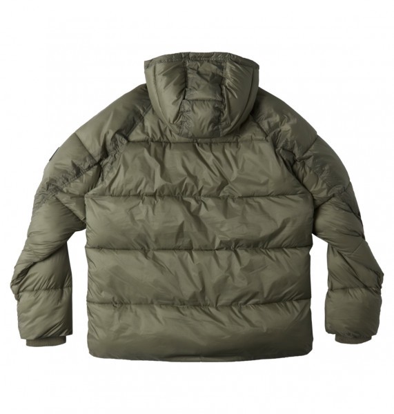 CANTERA PUFFER BOY (VET)