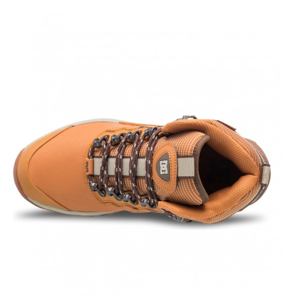 .//   /    Navigator