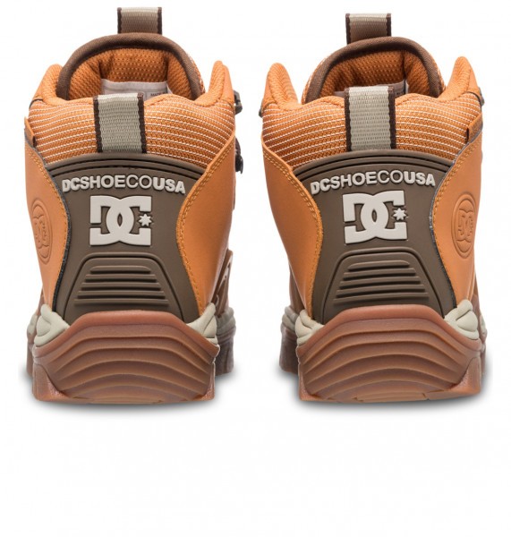 .//   /    Navigator