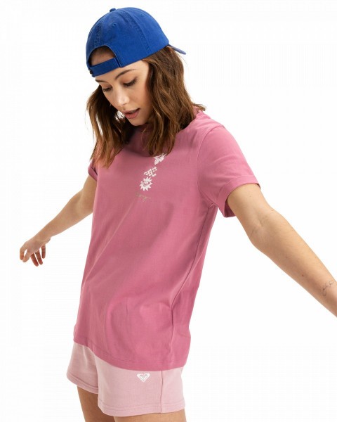 .//  /  Oceanregular Art