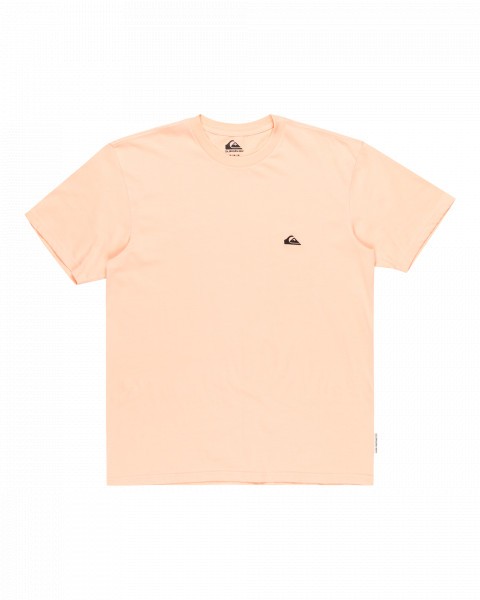BASIC SS TEE YOUNG MEN