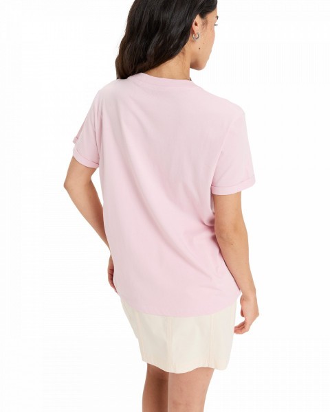 .//  /  Oceanregular Corpo