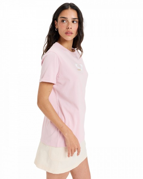 .//  /  Oceanregular Corpo