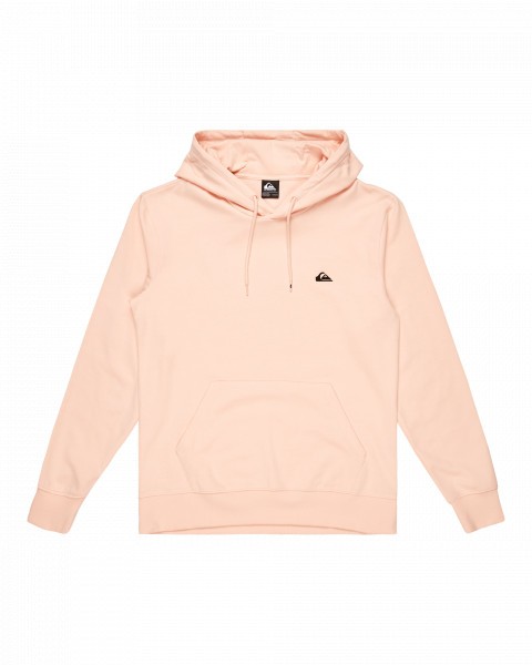  basic hoodie young men