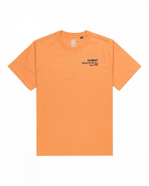 .//,   /  Job Done SS