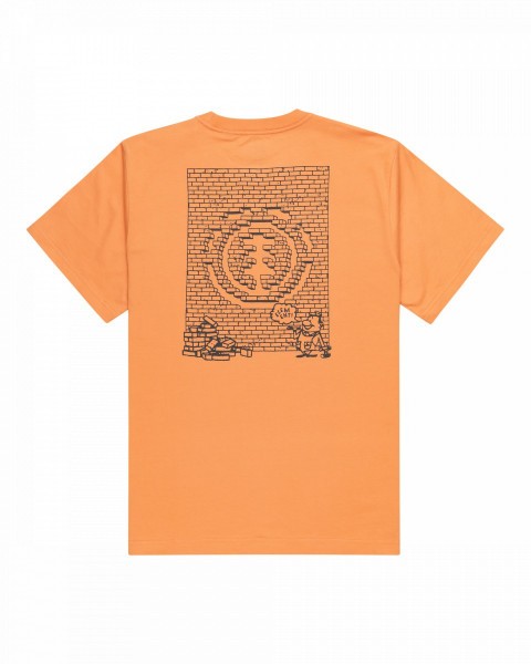 .//,   /  Job Done SS