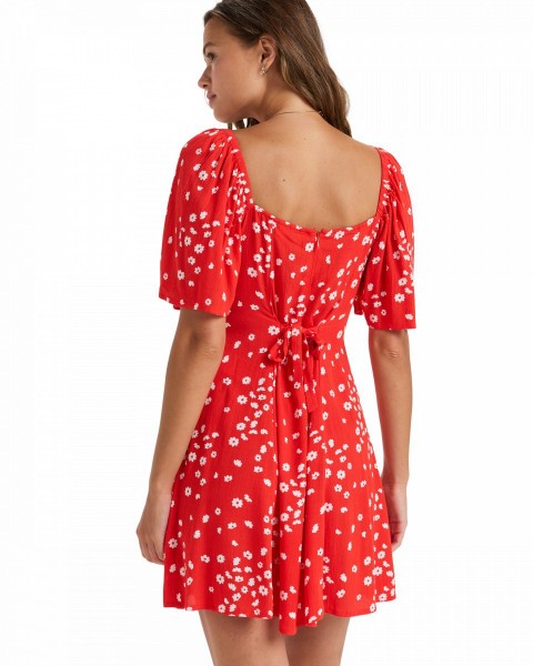 .//  /  Mercado Mini