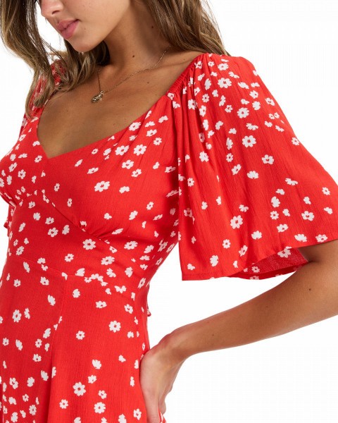 .//  /  Mercado Mini