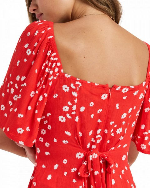 .//  /  Mercado Mini