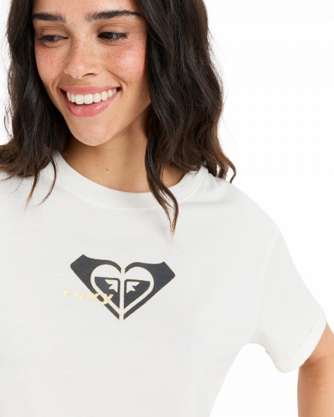 .//  /  Oceanregular Corpo