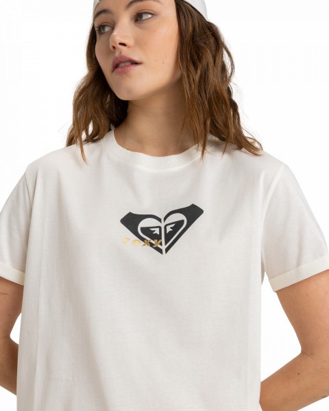 .//  /  Oceanregular Corpo