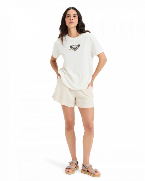 .//  /  Oceanregular Corpo