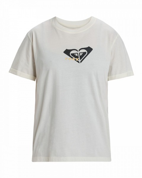 .//  /  Oceanregular Corpo