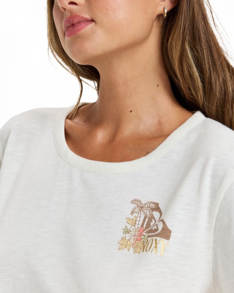 .//  /  Oceanwave Regular