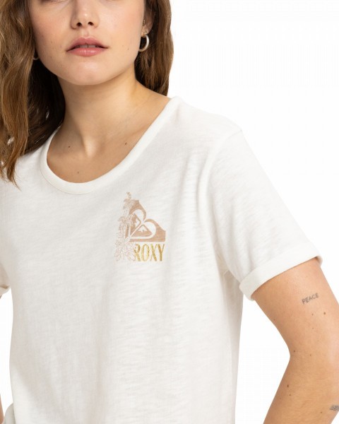 .//  /  Oceanwave Regular