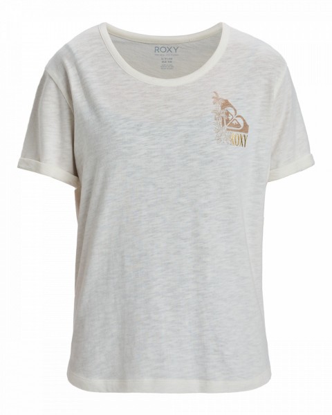 .//  /  Oceanwave Regular