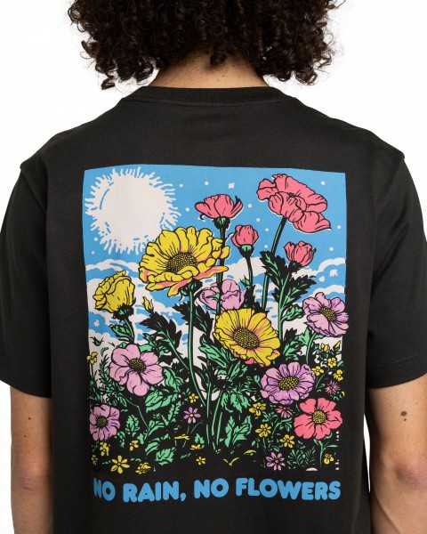 .//,   /  No Rain SS