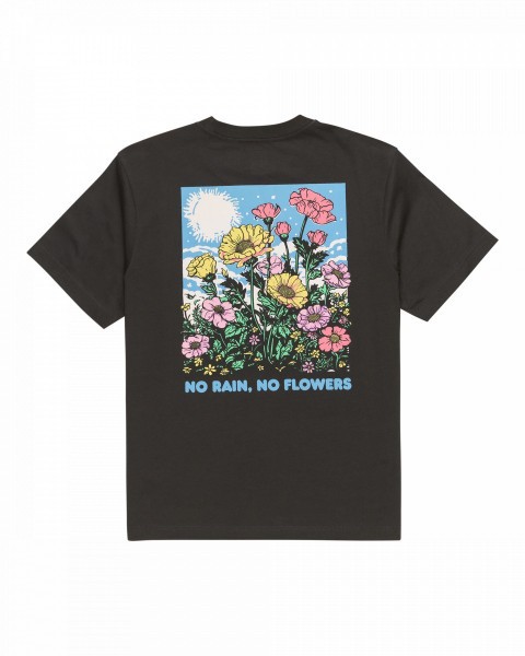 .//,   /  No Rain SS