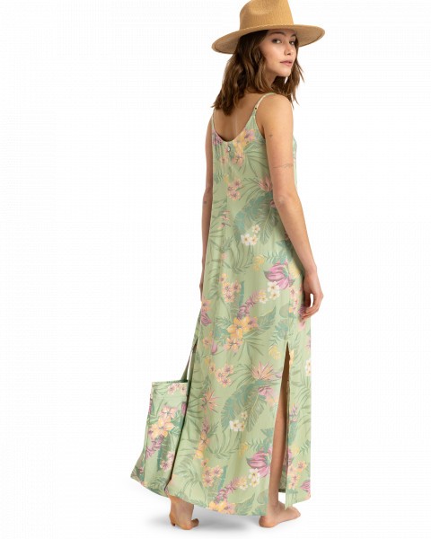 .//  /  Rainbow Shores