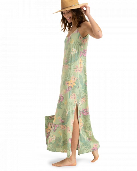 .//  /  Rainbow Shores